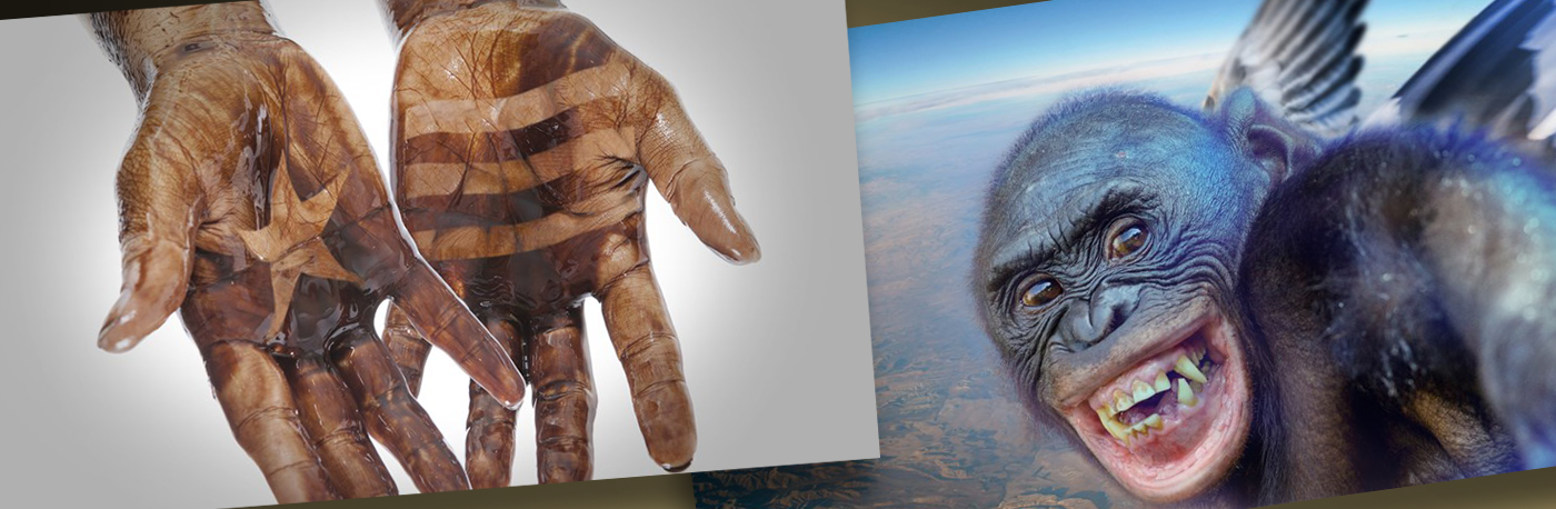 See Turner Carousel 12