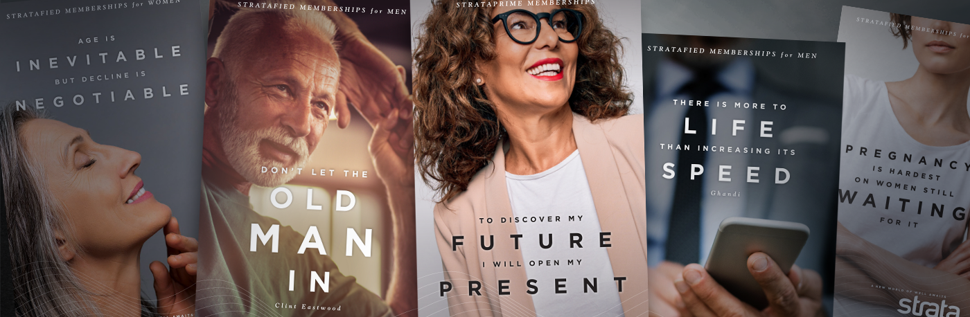 See Turner Carousel 3